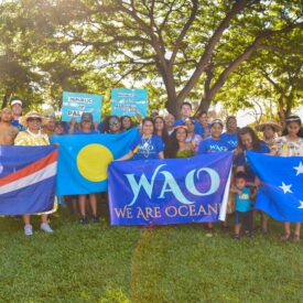 p-wao-group-flags